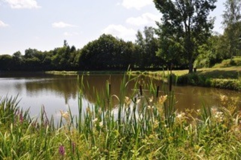 Plan d'eau St Pardoux